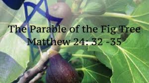 Parable of the Fig Tree ~ Video Lesson Course – Discipleship